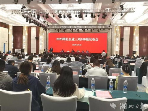 卓爾控股領(lǐng)航湖北服務(wù)業(yè)百強(qiáng)榜 企業(yè)管理咨詢視角下的卓越之道